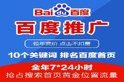 网络营销新篇章：竞价推广案例分析